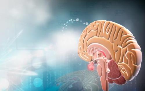 Un diagnóstico a tiempo de la narcolepsia mejora la calidad de vida